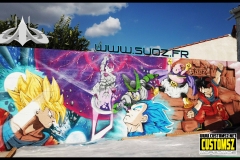 DBZ-fighting-graffiti-SUOZ-C52-customsz-worldwide-SITE-LOW-RESOLUTION