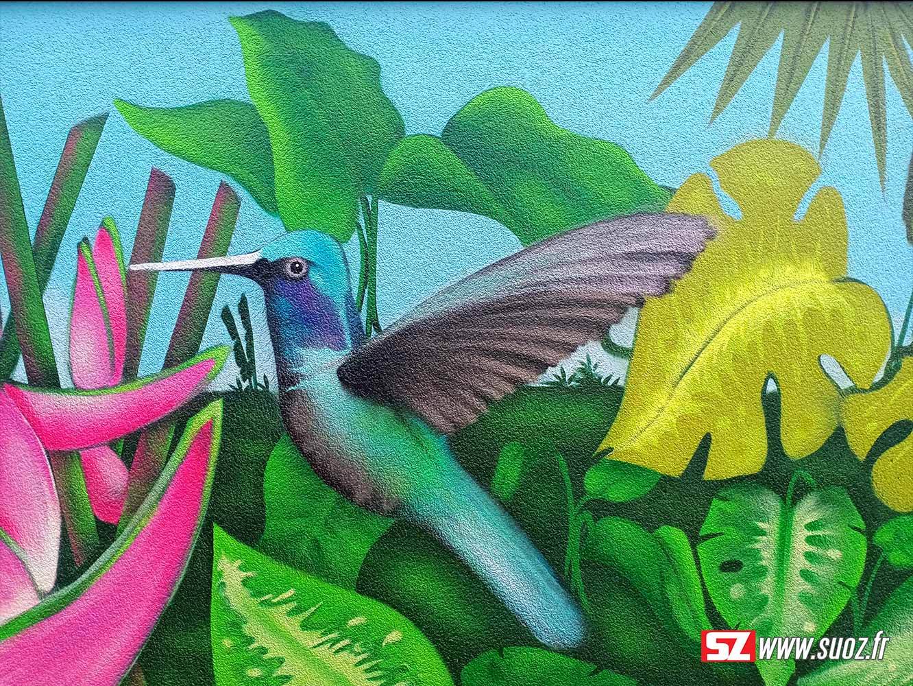 colibri-peinture-graffiti-Suoz-graffeur-la-rochelle