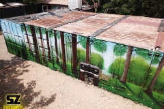 graffiti-decoration-suoz-nature-conteneur-artiste-street-art-trompe-loeil-Millau-parc-de-loisirs-des-Bouscaillous-midi-pyrénées-france-graff