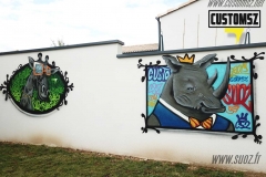 Graffiti-decoration-Suoz-customsz-animaux-tableau-jardin-street-art-la-rochelle-Niort-charente-maritime-france-artiste-graffeur