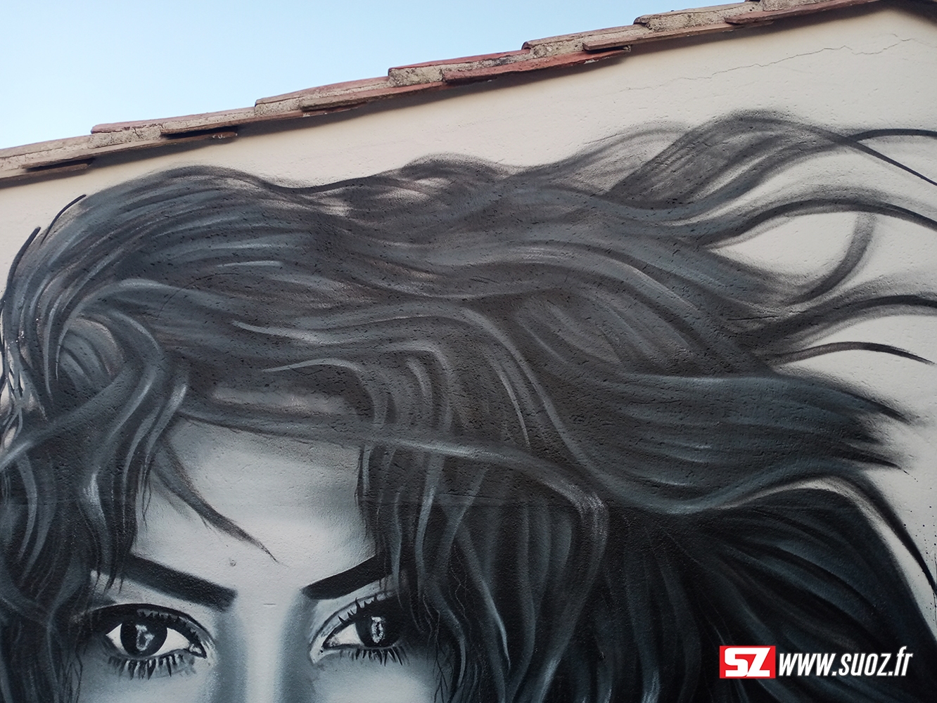 Graffeur-professionel-visage-Shakira-streetart-graffiti-Suoz