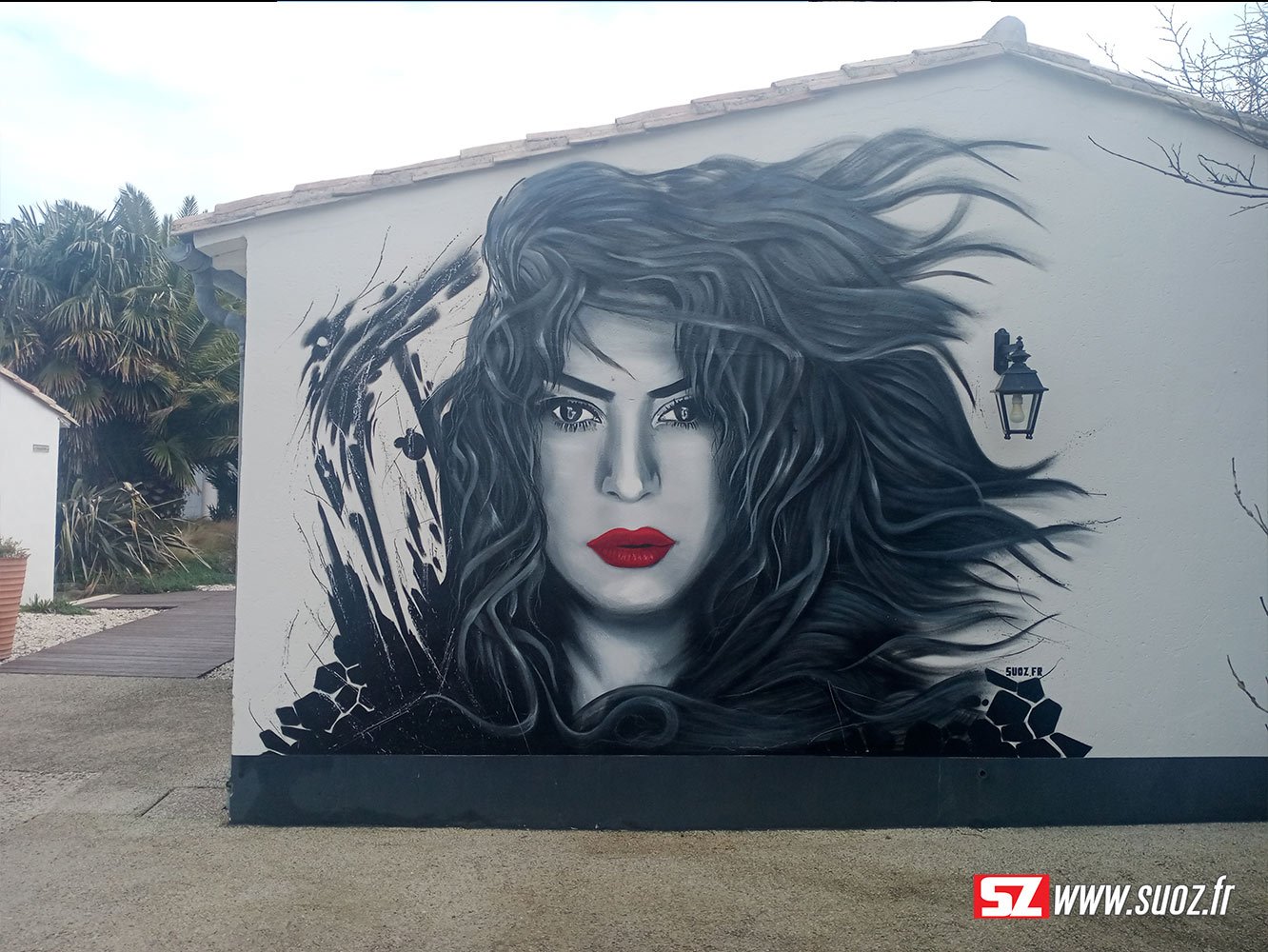 ile-de-re-le-clos-saint-martin-visage-shakira-graffeur-professionnel-suoz-decoration-murale-streetart
