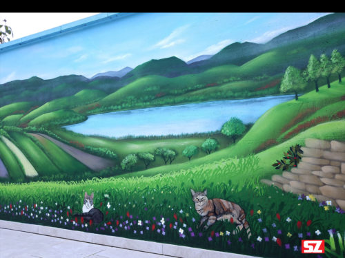 Décoration Graffiti avec un paysage vallée et montagnes