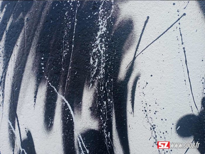 Découvrez l'incroyable talent de Suoz, artiste graffeur professionnel, avec sa dernière création : Visage Shakira en noir et blanc. Cette œuvre unique a été réalisée à l'hôtel & spa Le Clos St Martin sur l'île de Ré, et représente une véritable prouesse artistique