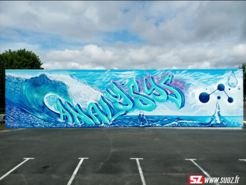fresque graffiti suoz street art decoration graffeur professionnel Analysys entreprise