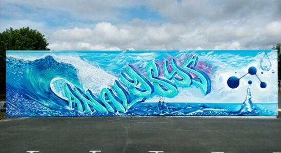 fresque graffiti suoz street art decoration graffeur professionnel Analysys entreprise